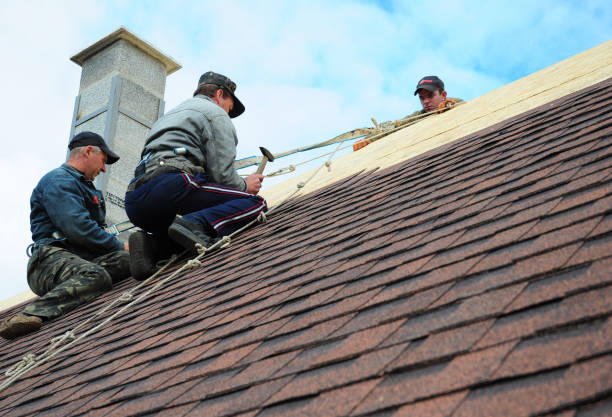 Best Flat Roof Repair Services  in Langhorne Manor, PA