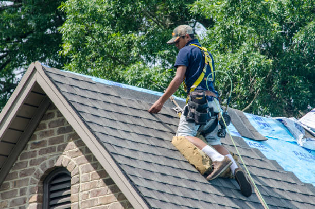 Best Storm Damage Roof Repair  in Langhorne Manor, PA